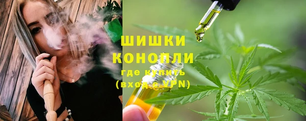 крисы Абдулино